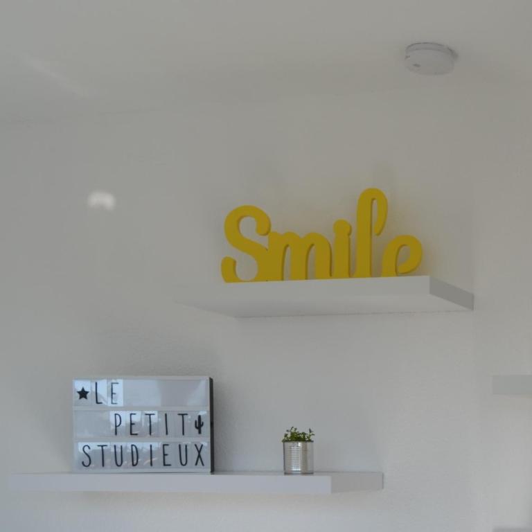 Le petit studieux - Parking - Animaux acceptés - Centre ville accessible à pied - Apartment - 10
