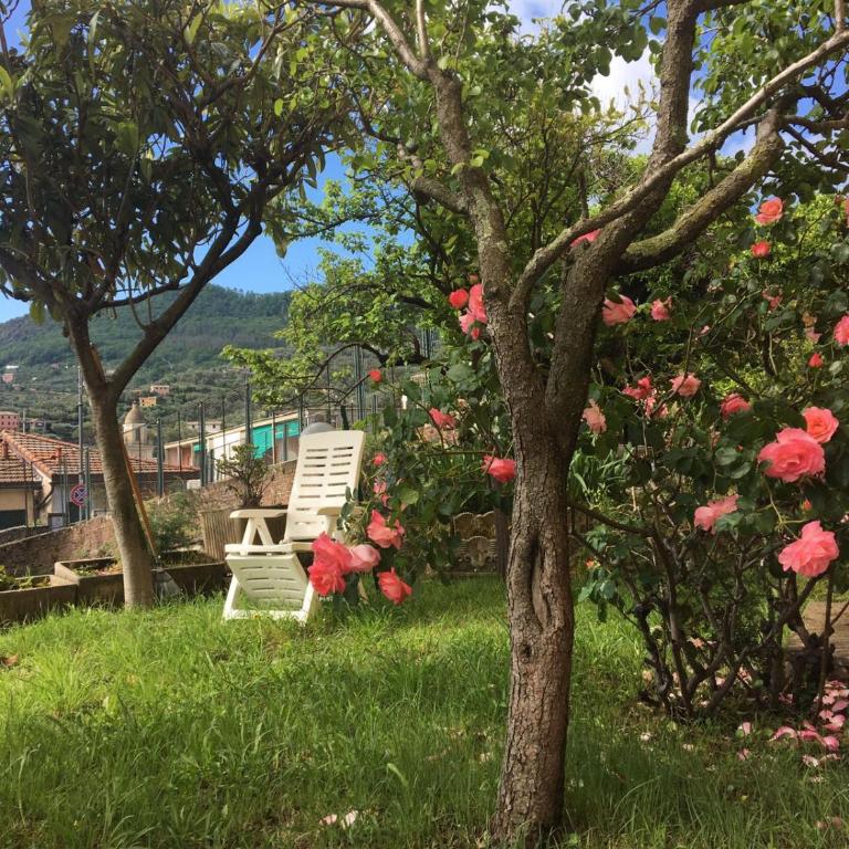 Casa Emanuele - Appartamento con Vista Giardino - 6