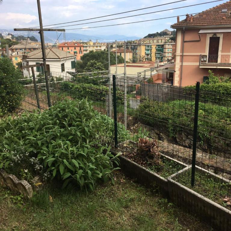 Casa Emanuele - Appartamento con Vista Giardino - 22