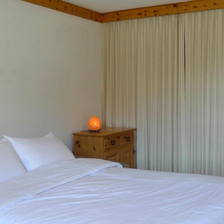 Spectacular View & Central Location in Davos - Apartment - 10