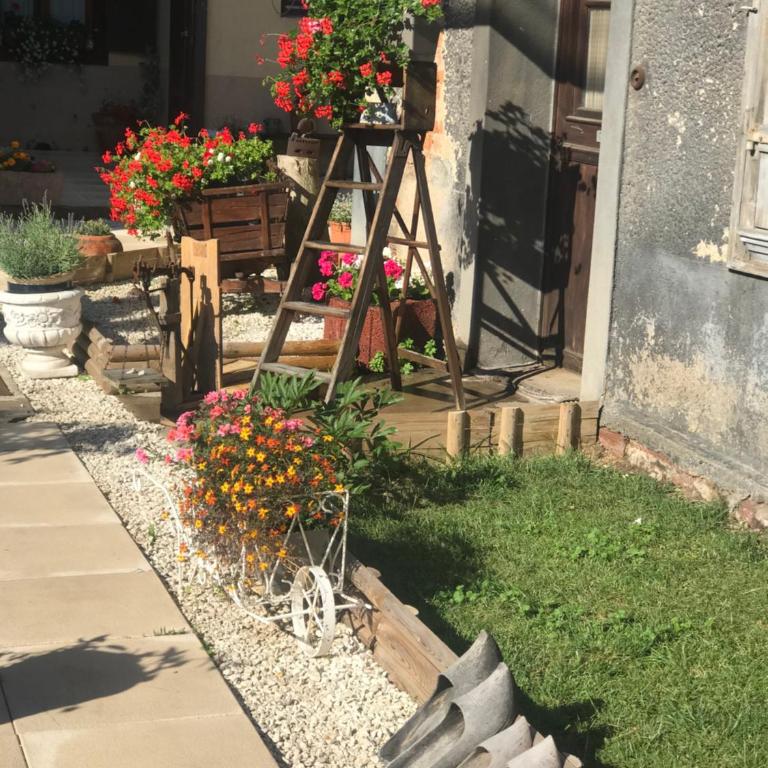 Maison avec terrasse Colmar Centre-Cottage garden terrace Center Old Town Colmar - Casa con 2 Camere da Letto - 32