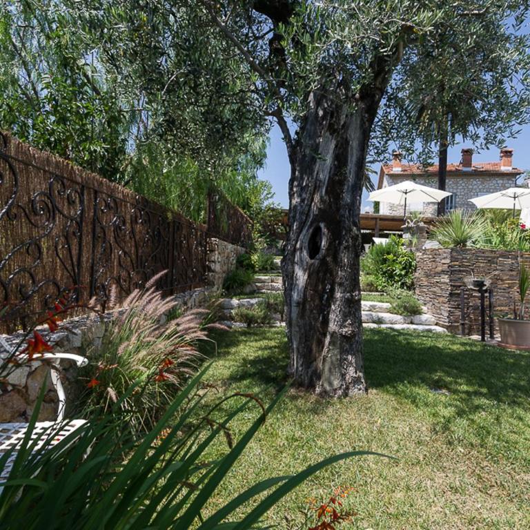 Villa Tranquille - Villa - 23