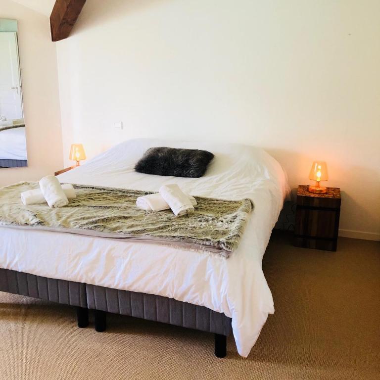 Angel Services - Le Vivier - Maison 4 Chambres - 12