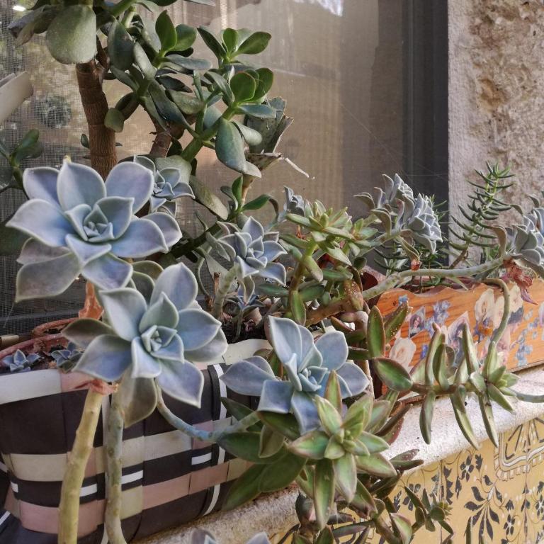 Residenza Bagolino - Studio Apartment - 11