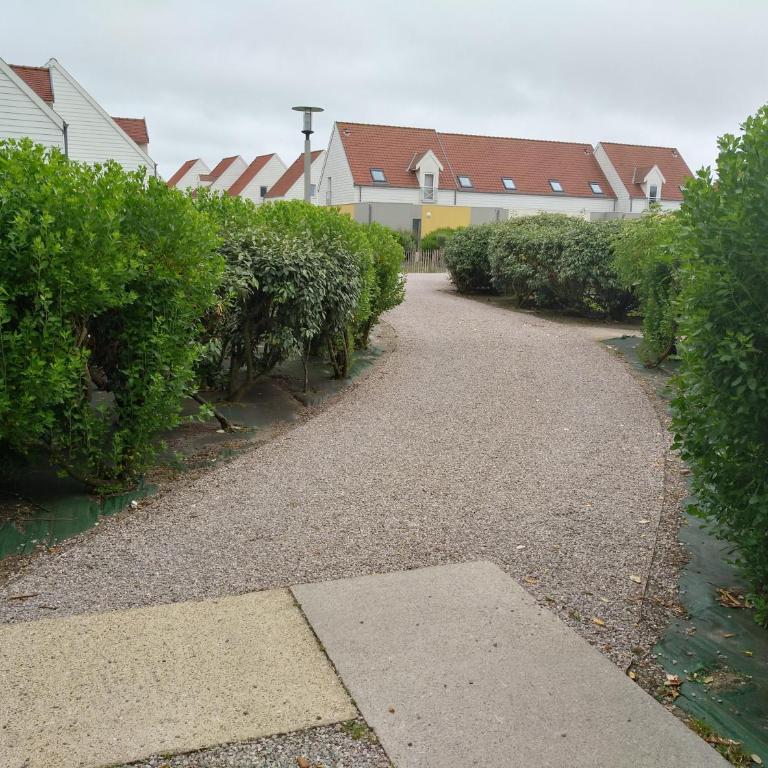Location vue mer WIFI - Apartment - 12