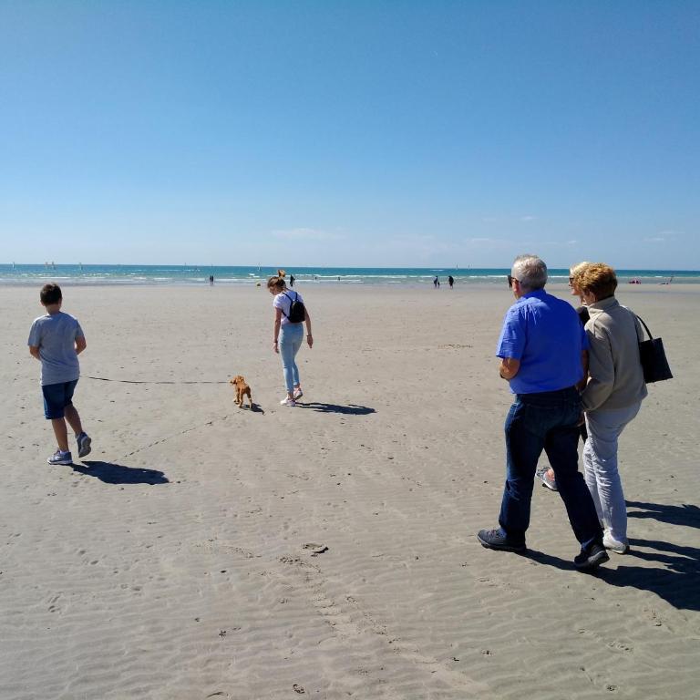 Location vue mer WIFI - Apartment - 25