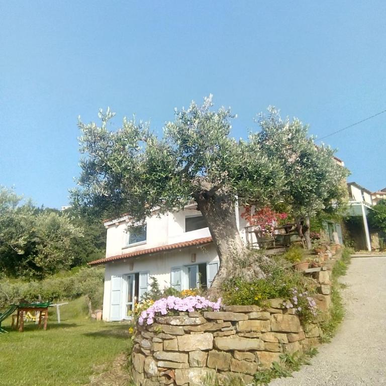 Impietra - One-Bedroom House - 4