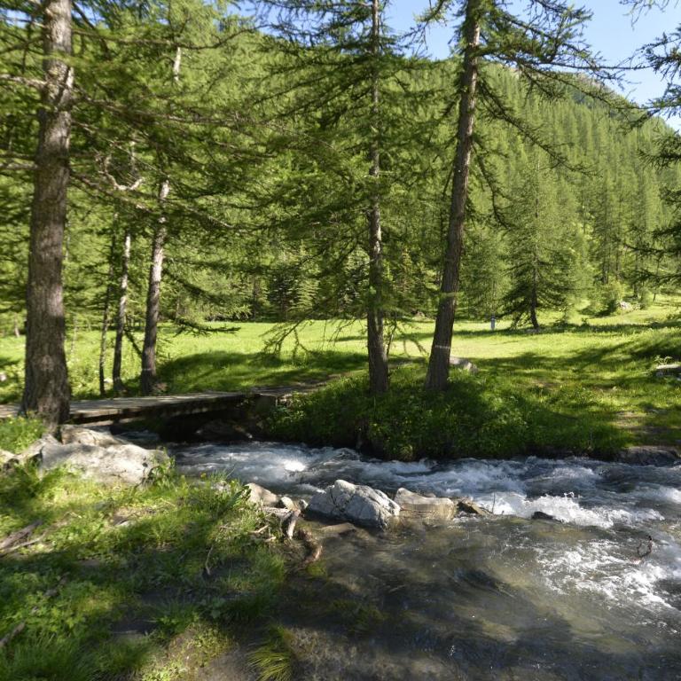 Studio Val Gardena 1 - Apartamento Estudio - 18