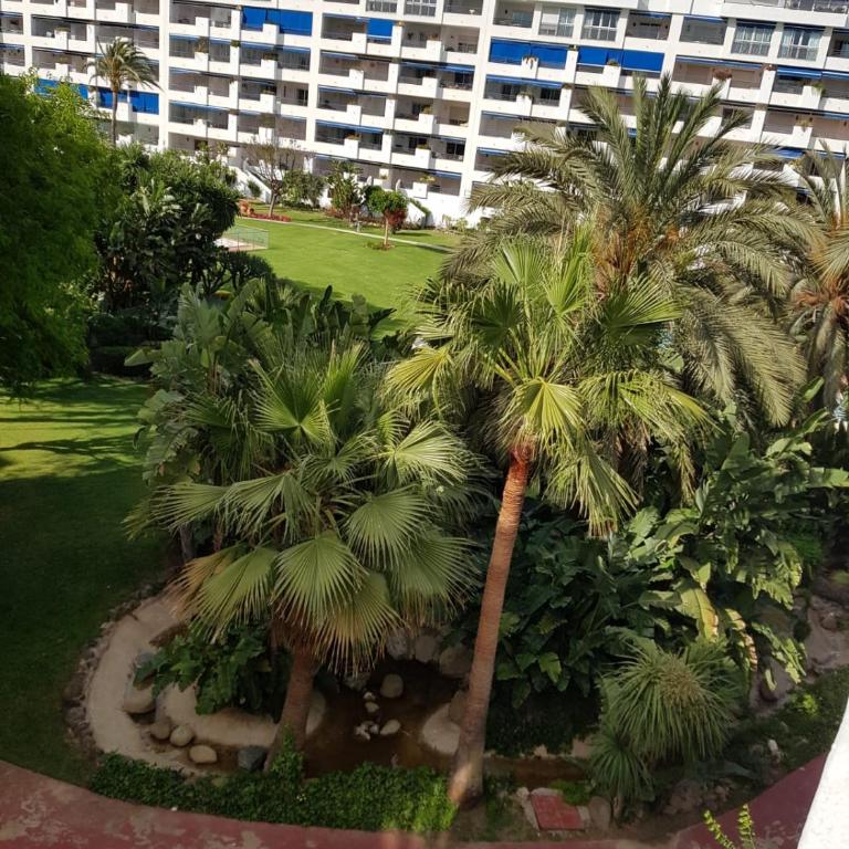 Jardines del puerto - Apartamento - 2