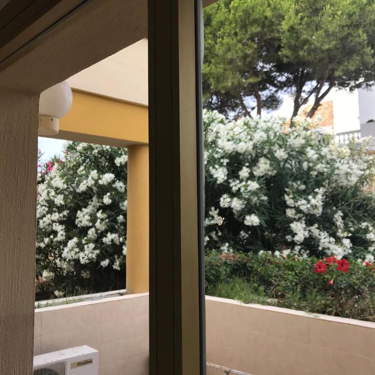 Romana Playa Estudio - Apartamento Estudio - 47