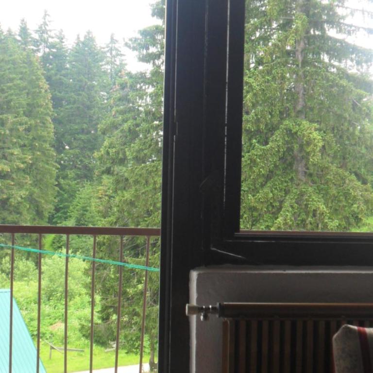 Kozorog Durmitor - Superior Double or Twin Room with Terrace - 6