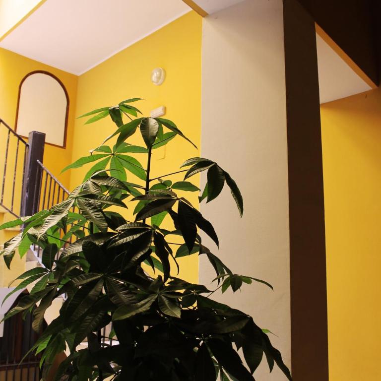 Palazzo delle Logge - Appartamento con 3 Camere da Letto - 43