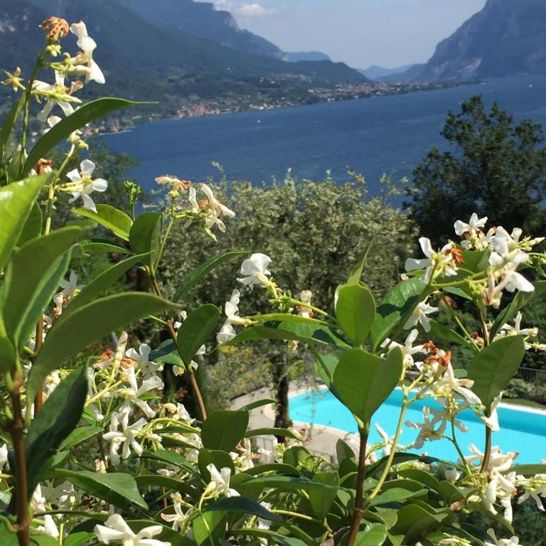 Maison Casa Lavanda - Appartamento - 39