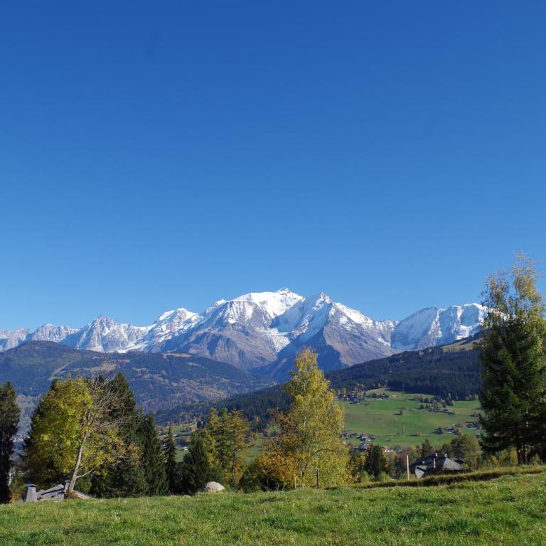 Chalet Le Sabot De Venus - Chalet - 21