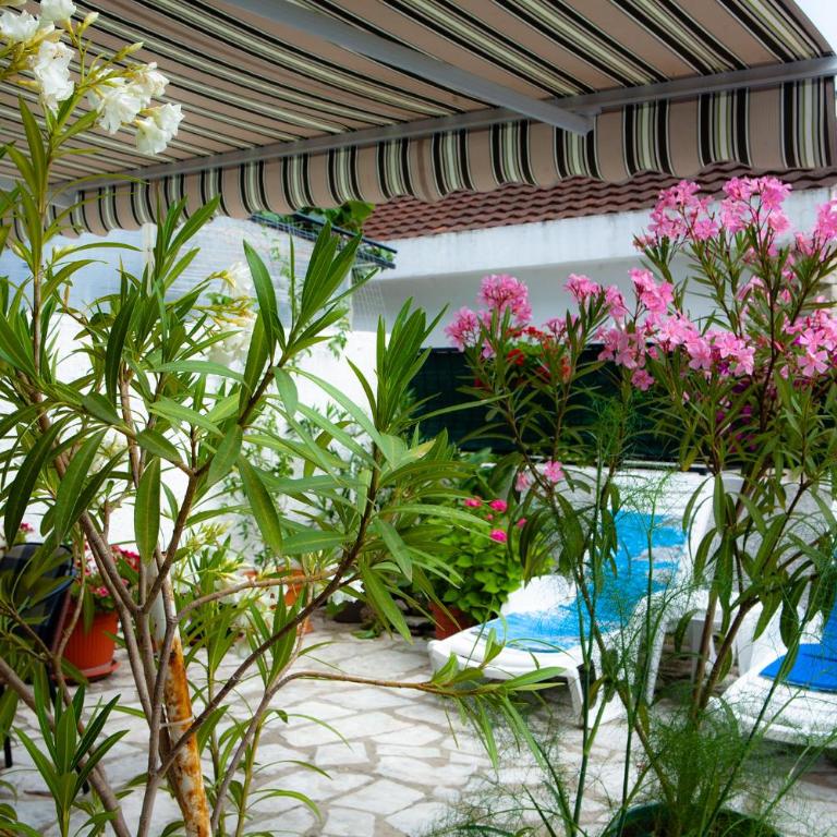 Josephine Apartment - Apartment with Terrace - 1