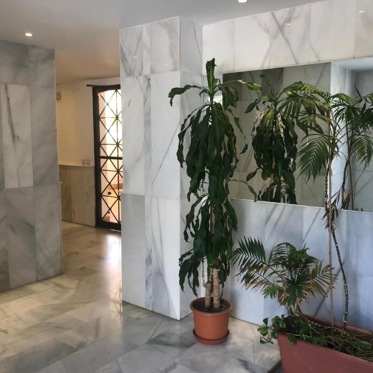 Apartamento Los Nidos (La Carihuela) - Apartamento con terraza - 13