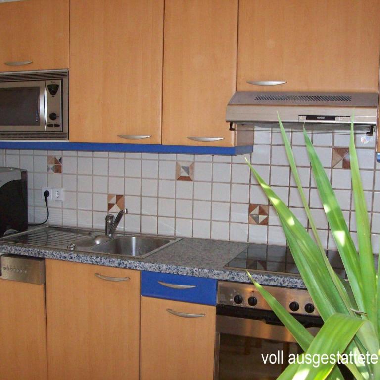 Riedl Gästewohnung - Deluxe Apartment - 6