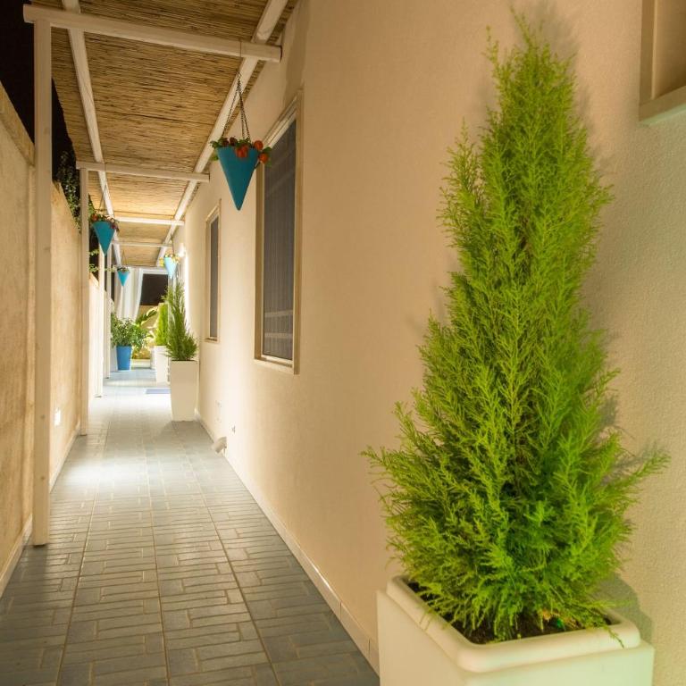 Cielo e Mare - One-Bedroom House - 15