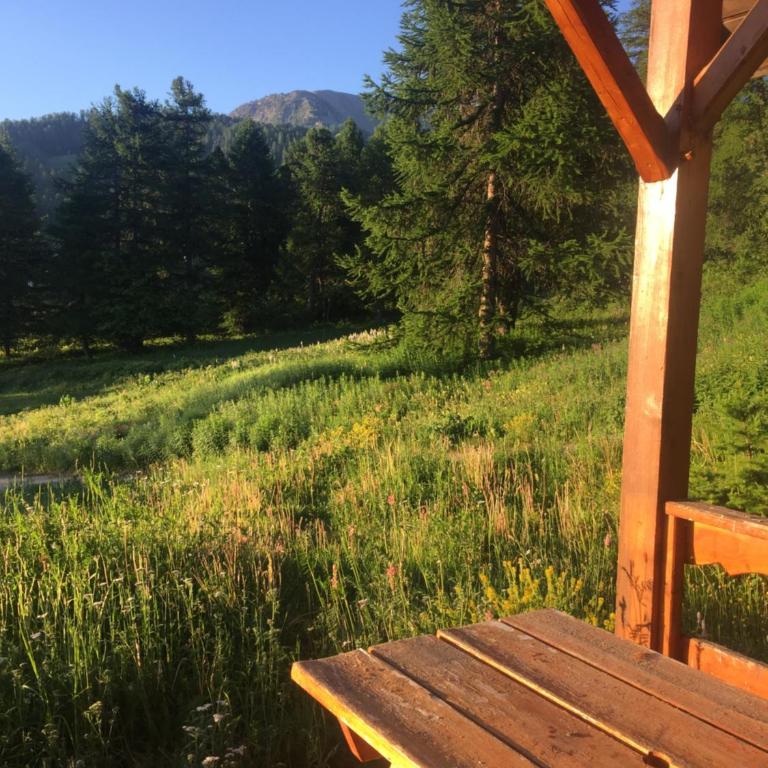 Duplex cosy jusqu'à 6 personnes- chalet des Pléiades - départ skis aux pieds en bordure de piste sans portage - au milieu des fleurs en été - l'autre duplex du chalet est également à nous - Chalet - 18