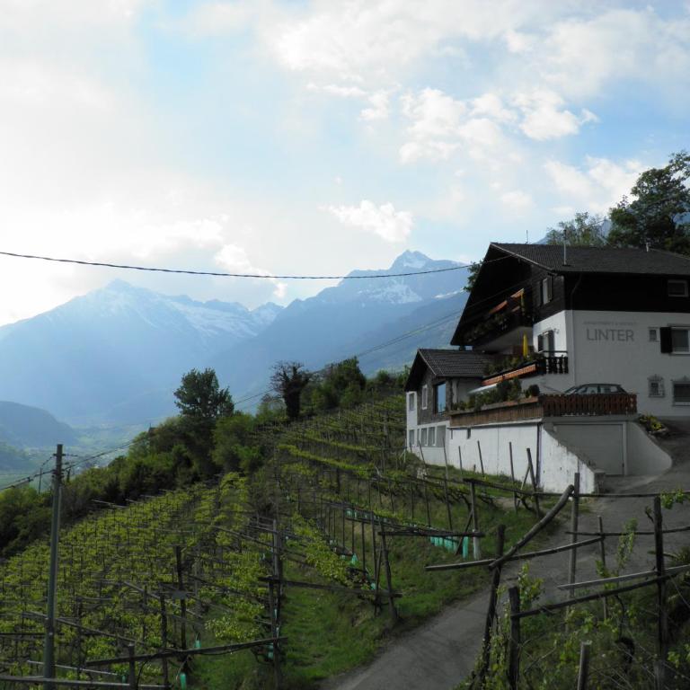 Appartementhaus Linter - Appartamento con Vista Montagna (2 Adulti) - 2