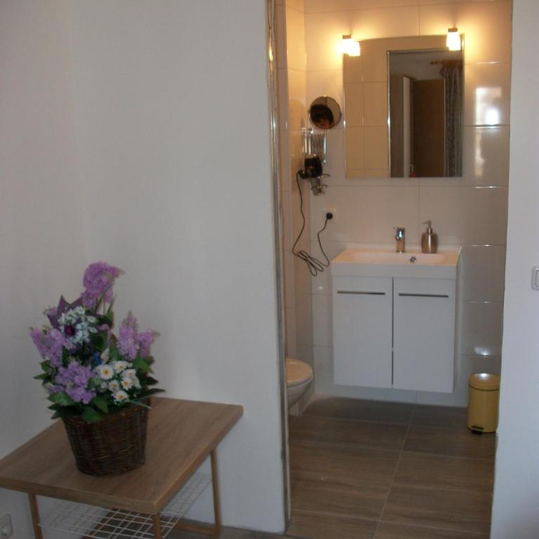 Haus Alpenrose - Estudio - 11
