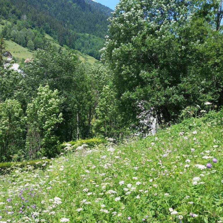 La cime des sapins - Three-Bedroom Chalet - 3