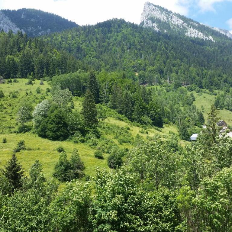 La cime des sapins - Three-Bedroom Chalet - 9