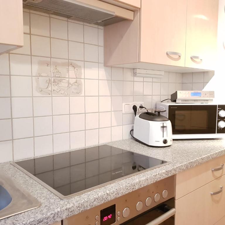 Villa-Musica "Das Harmonikahaus" Apartments, Harmonikabau und Seminare - Two Bedroom Apartment with Terrace - 15