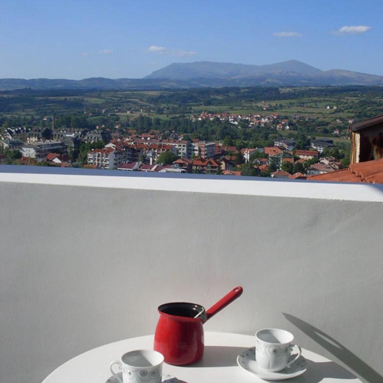 Apartman Jovana Sokobanja - Apartman sa Terasom - 11