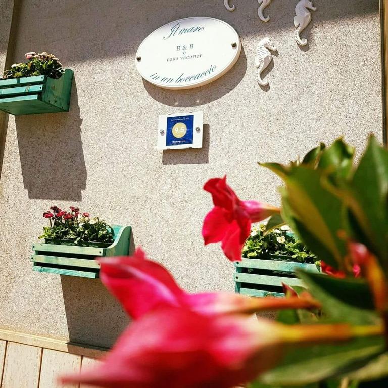 Il mare in un Boccaccio - Casa Vacanze - 4