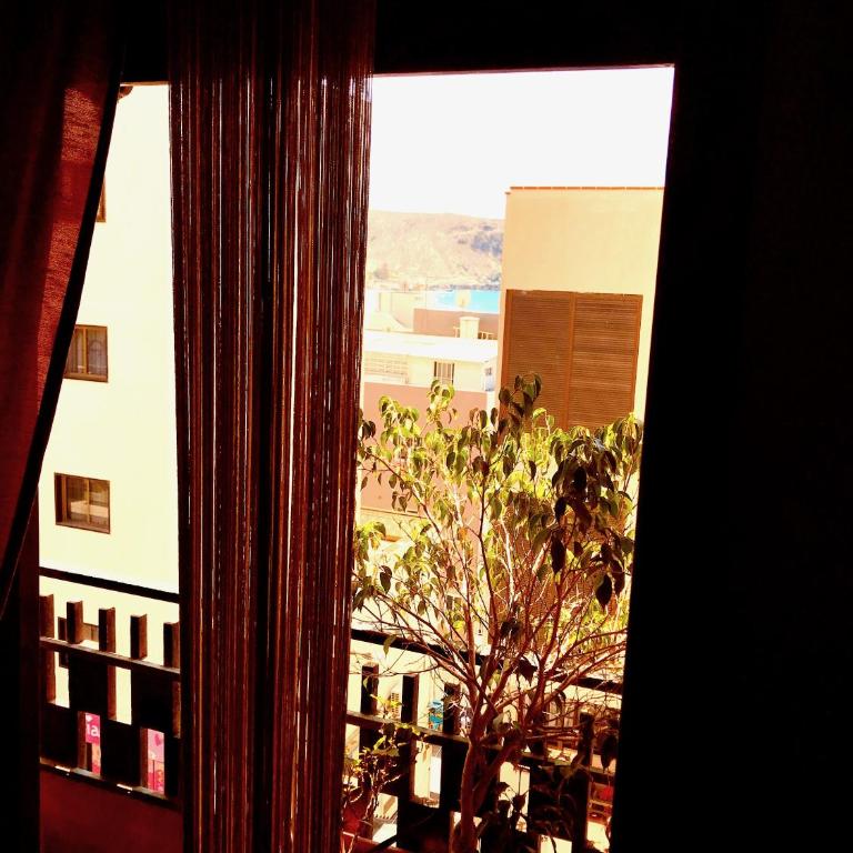 Room 16 - Apartamento - 4