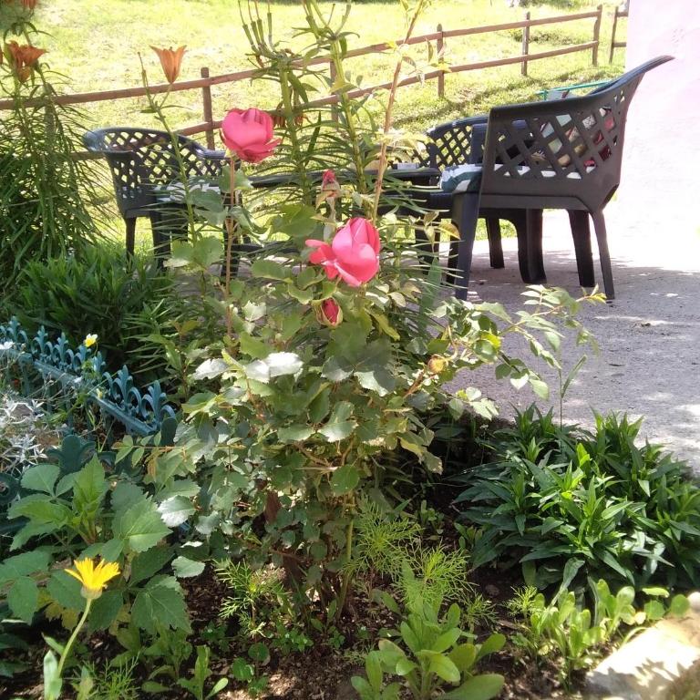 Apartments Obradović Milan - Apartman sa 2 Spavaće Sobe i Balkonom - 22