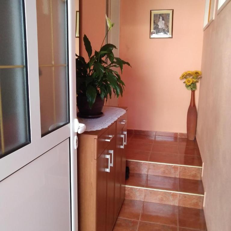 Apartments Obradović Milan - Standard Twin Room with Shared Bathroom - 1