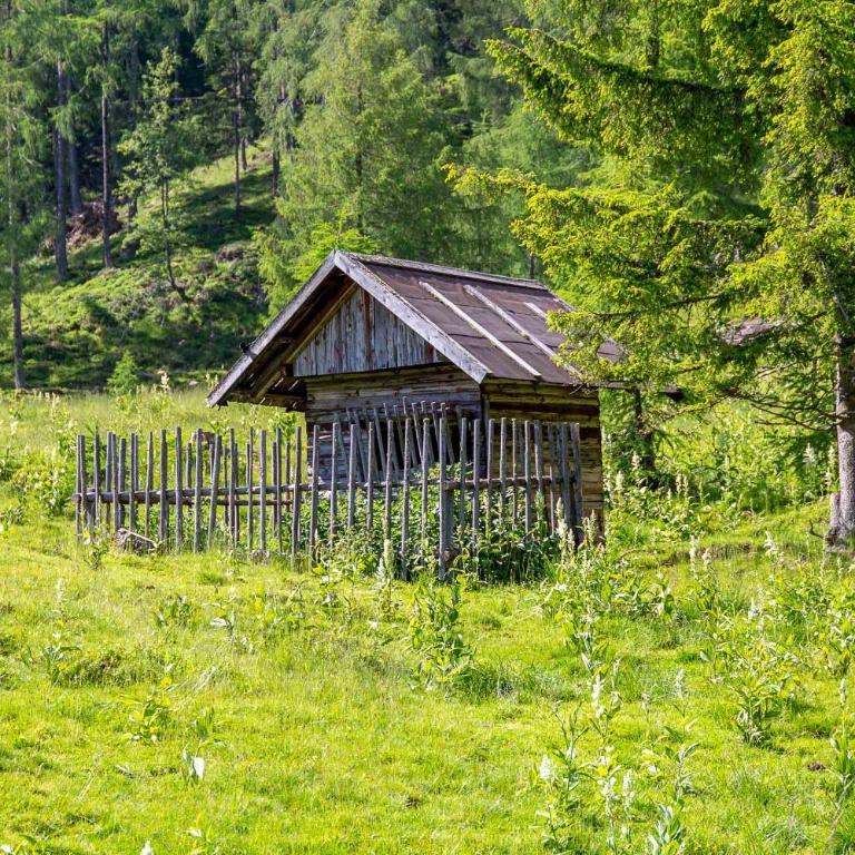 Neuwirth Hütte - Haus mit 3 Schlafzimmern - 23