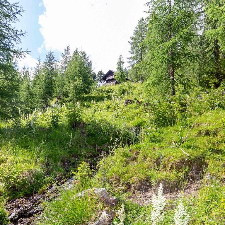Neuwirth Hütte - Haus mit 3 Schlafzimmern - 19