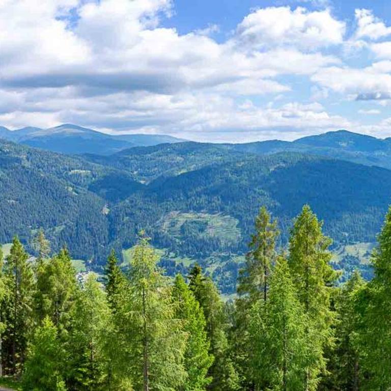 Neuwirth Hütte - Haus mit 3 Schlafzimmern - 34