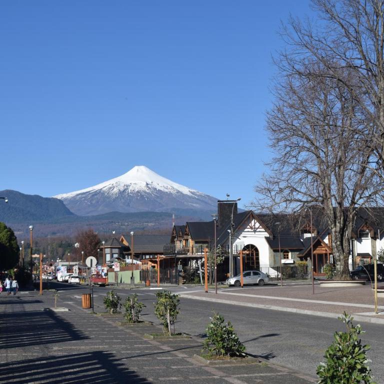 Departamento Pucon - One-Bedroom Apartment - 11