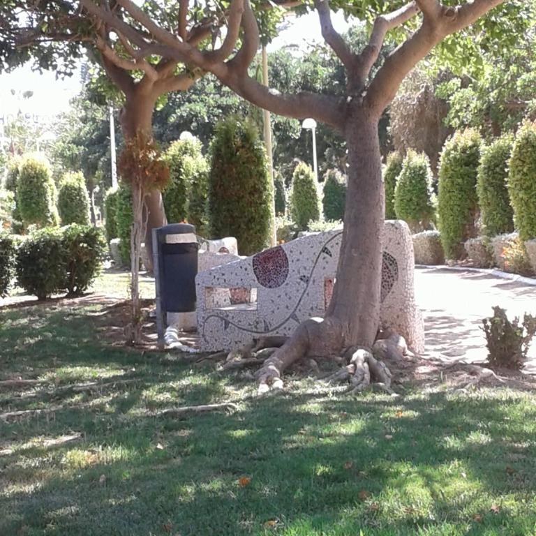 Apartamento Marina Dor 1a línea Magic World - Apartamento - 49