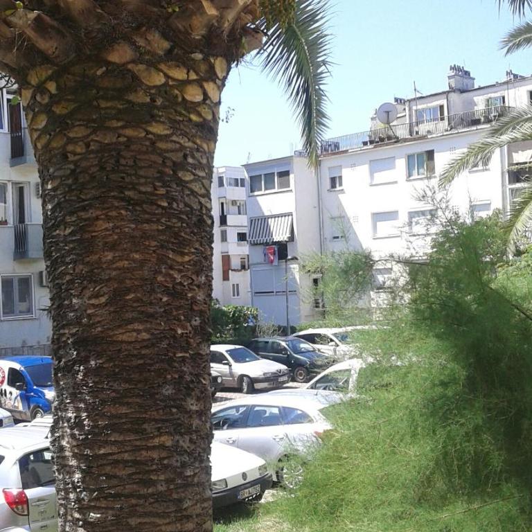 Apartment Marsala Tita - Apartment - Ground Floor - 19