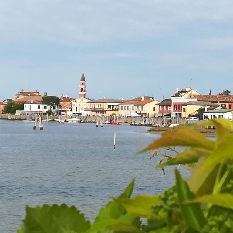 Venezia nature&beach - Appartamento - 59