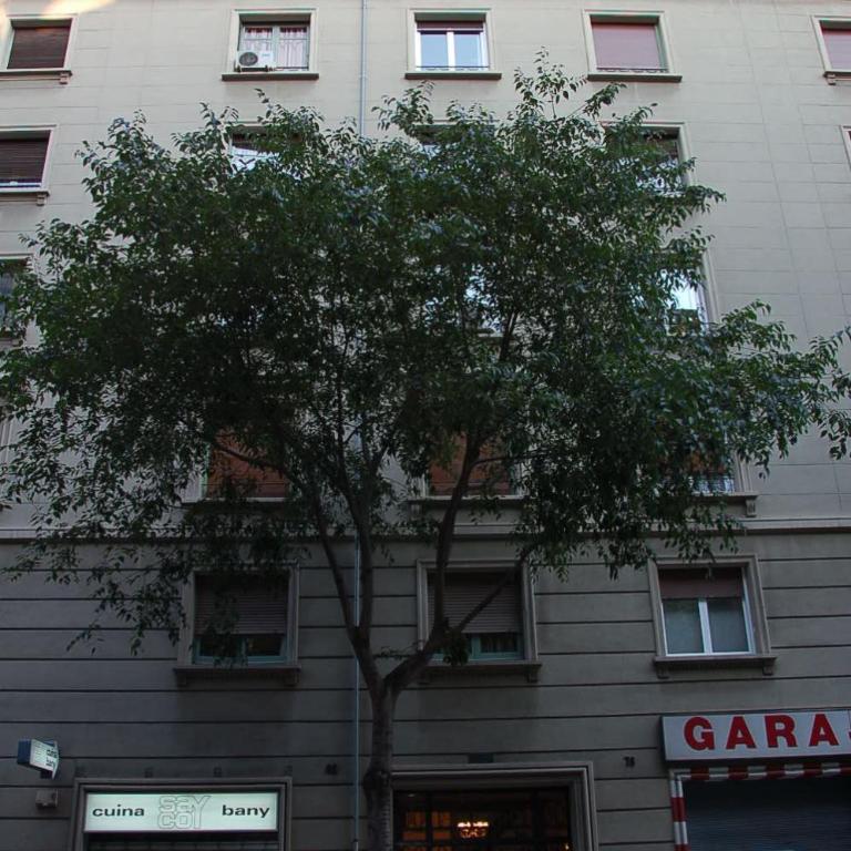 Atic Barcelona - Two-Bedroom Apartment - 22