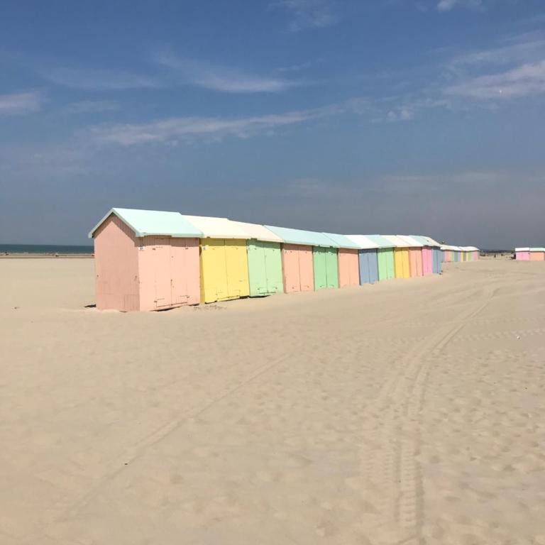 Logement cocooning 50 m de la plage - Appartement - 19