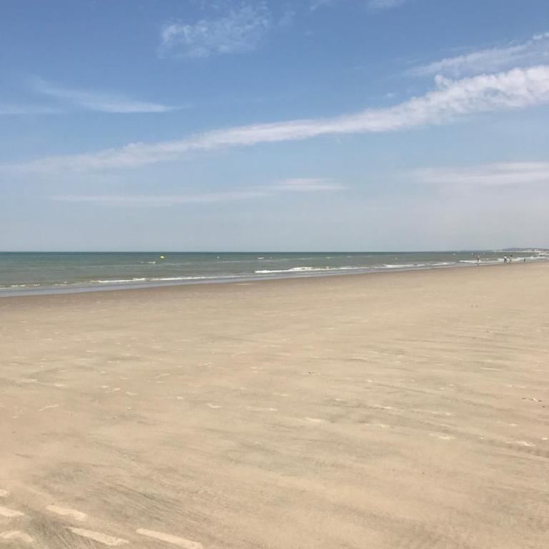 Logement cocooning 50 m de la plage - Appartement - 20