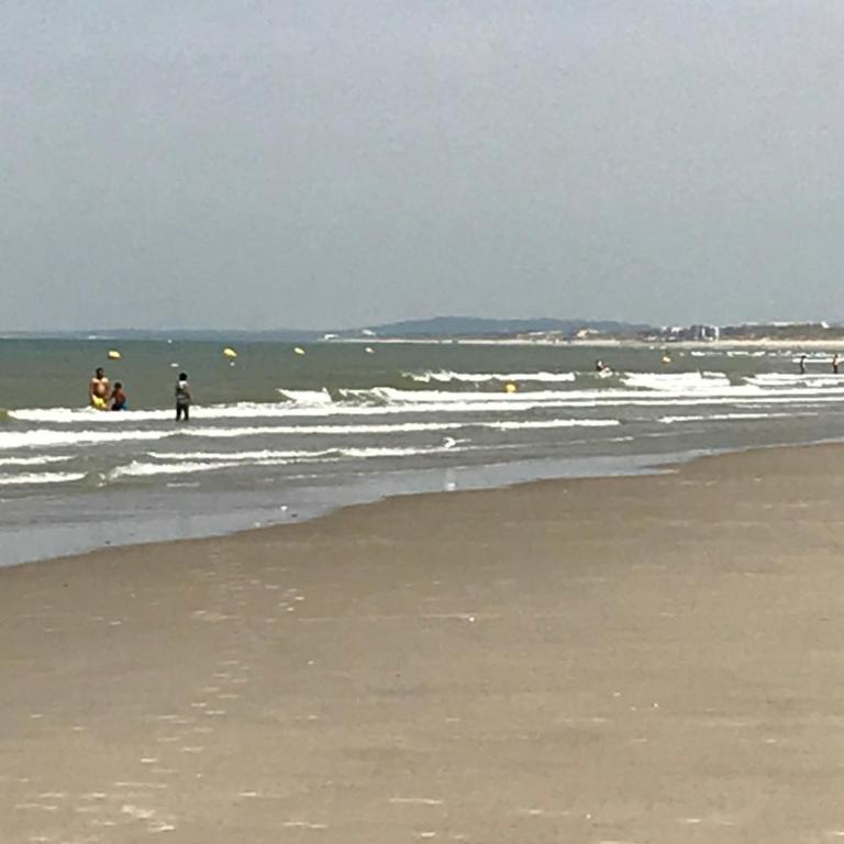 Logement cocooning 50 m de la plage - Appartement - 32