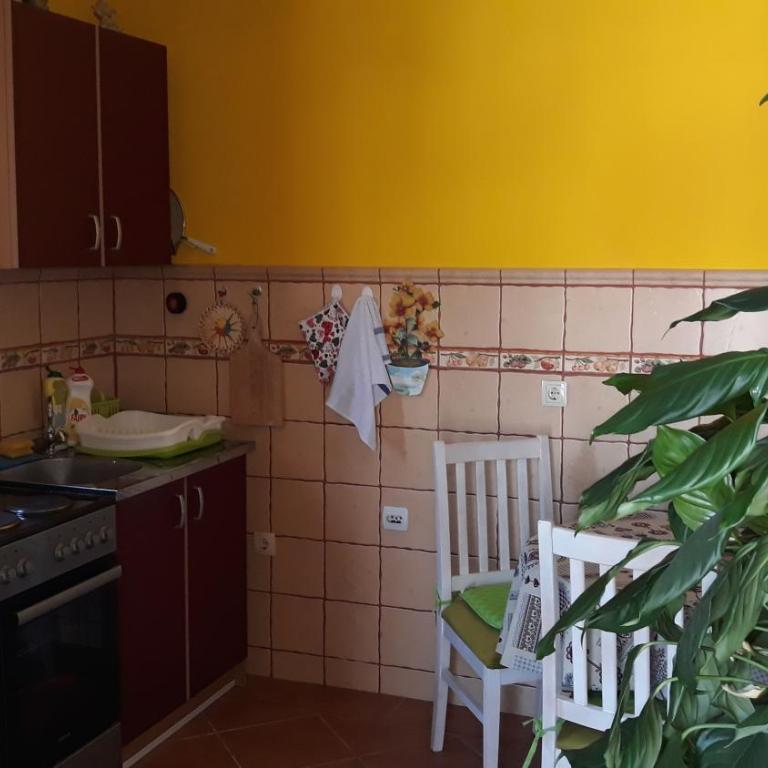 Guesthouse Djacic - Studio sa Balkonom - 11
