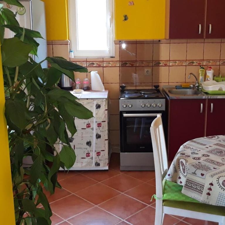 Guesthouse Djacic - Studio sa Balkonom - 16