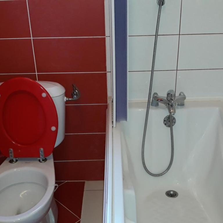 Guesthouse Djacic - Studio sa Balkonom - 17