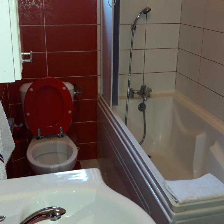 Guesthouse Djacic - Studio sa Balkonom - 18