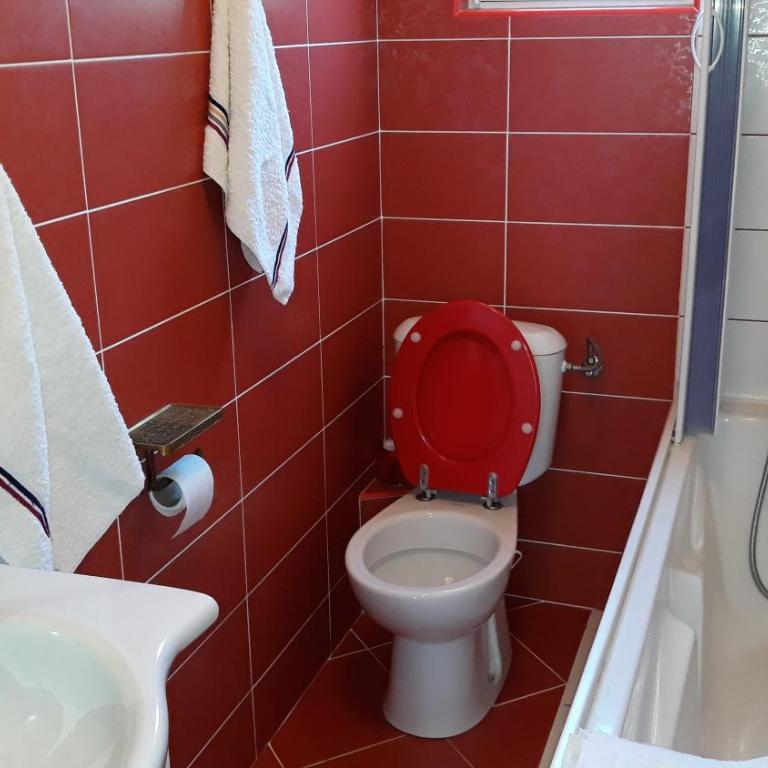 Guesthouse Djacic - Studio sa Balkonom - 19