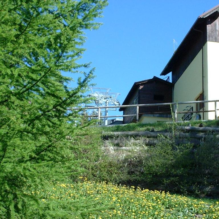 Il Capriolo - Casa Vacanze - 6
